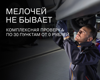 Профессиональная проверка по 30 пунктам от 0 руб.